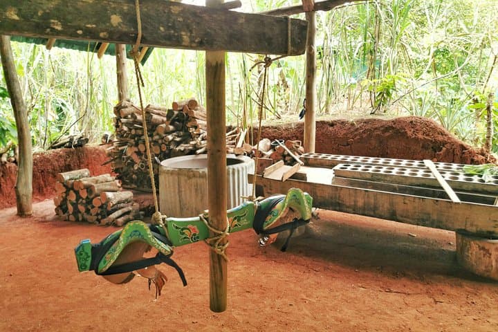 Manuel Antonio Chocolate, Coffee & Trapiche Tour — Hands-On Cacao Experience photo 3