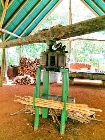 Manuel Antonio Chocolate, Coffee & Trapiche Tour — Hands-On Cacao Experience photo 6