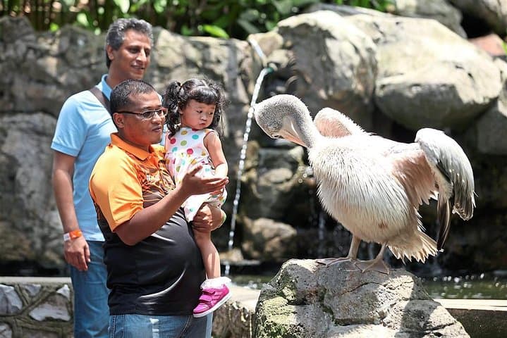 Inside KL Bird Park: Explore the World's Largest Free-Flight Aviary photo 4