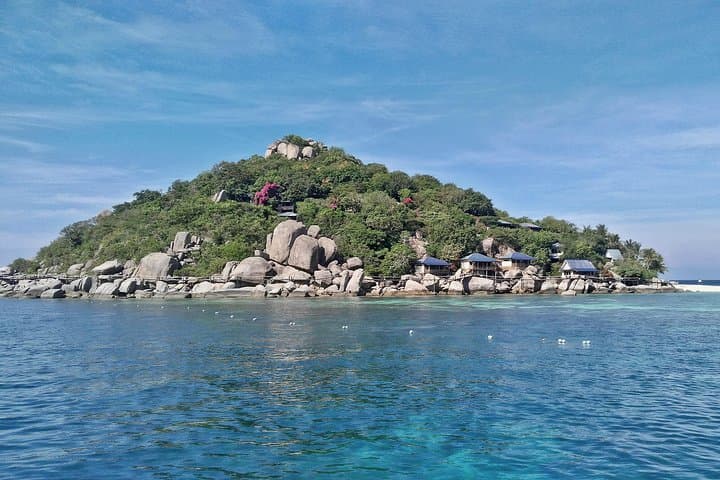 Speedboat to Koh Tao & Koh Nang Yuan: Full-Day Snorkel from Koh Samui photo 5