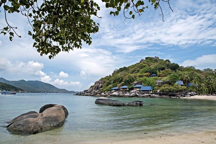 Speedboat to Koh Tao & Koh Nang Yuan: Full-Day Snorkel from Koh Samui photo 6