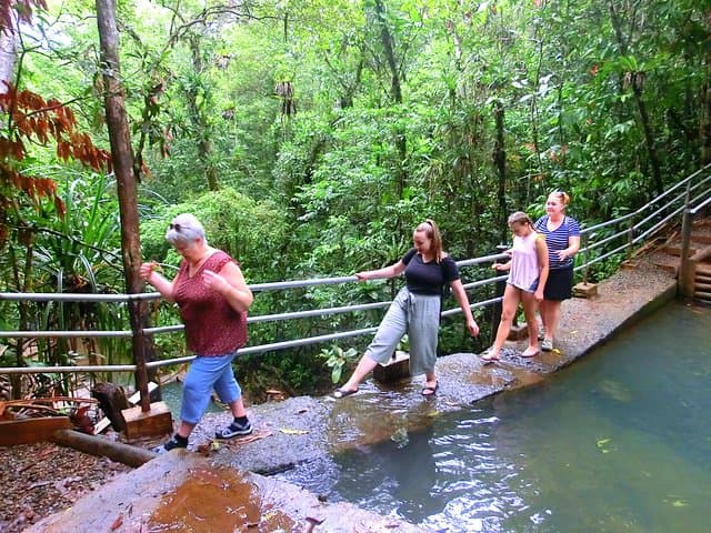 Colo-i-Suva Waterfalls and Nature Tour: Swim, Hike, and Picnic in Fiji Rainforest photo 4