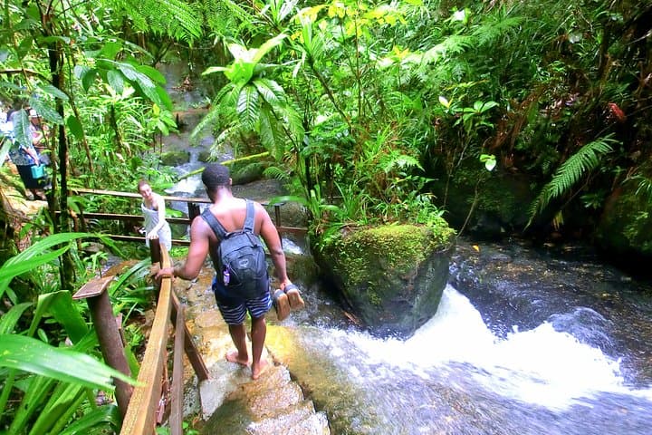 Colo-i-Suva Waterfalls and Nature Tour: Swim, Hike, and Picnic in Fiji Rainforest photo 6