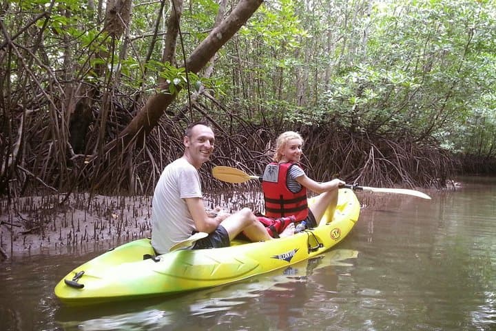 Mangrove Kayaking in Langkawi: Kubang Badak River Adventure photo 3