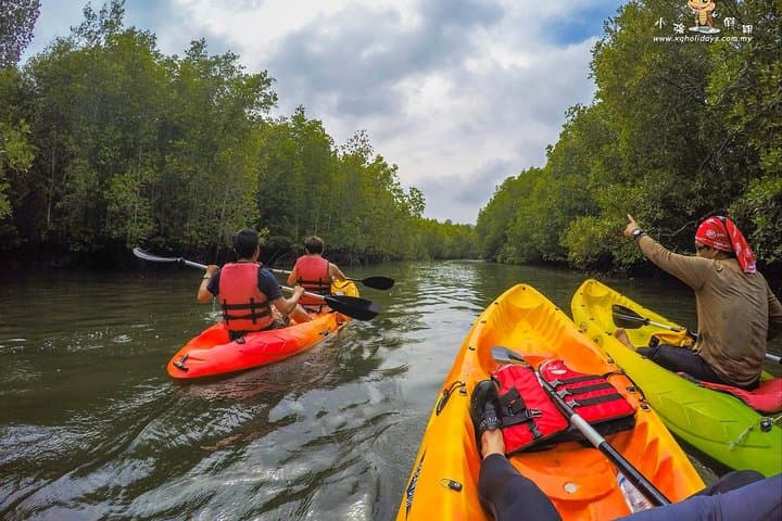 Mangrove Kayaking in Langkawi: Kubang Badak River Adventure