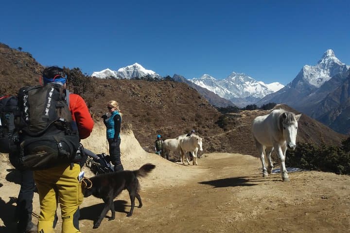 Everest Base Camp Trek: Plan the Classic 12-Day Himalayan Journey