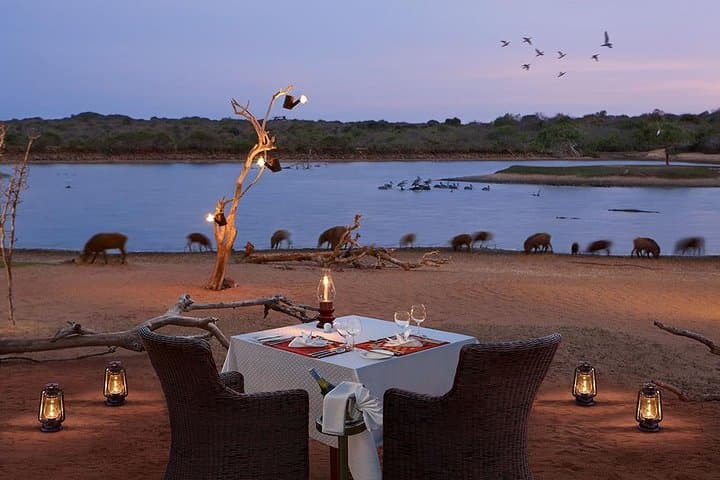 Private Beach BBQ Dinner at Yala: Sunset Seafood & Wine on a Secluded Sri Lanka Shore photo 5