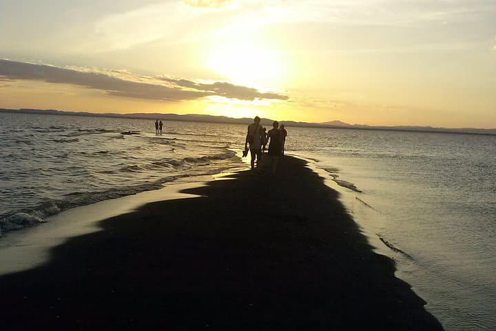 Ometepe Island Day Tour — Charco Verde Lagoon, Hot Springs and Ceibo Museum