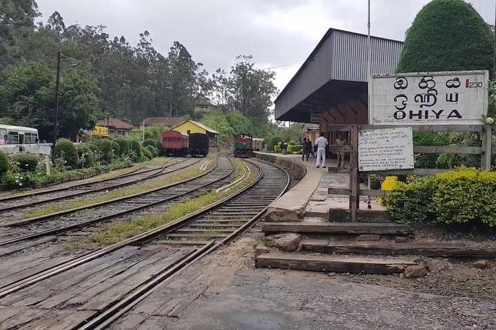 Horton Plains & World's End: Private Guided Day Hike with Scenic Train photo 2
