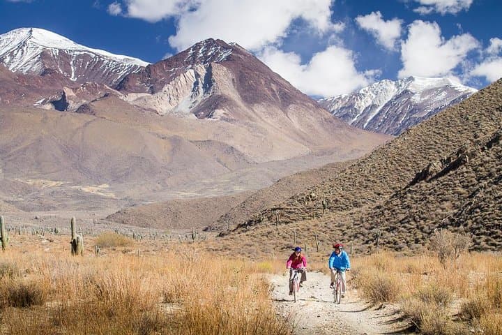 Cachi Mountain Bike Ride through Los Cardones and the Calchaquí Valleys photo 3