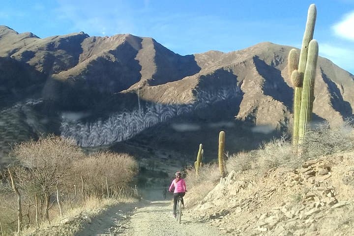 Cachi Mountain Bike Ride through Los Cardones and the Calchaquí Valleys photo 6