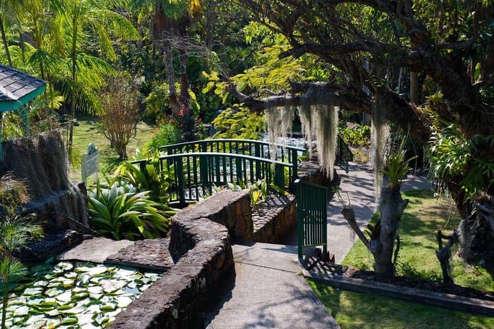 Discover Nevis: Private 3.5‑Hour Island Tour from Charlestown photo 6