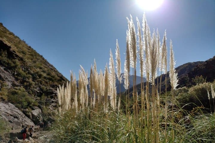 Potrerillos Trek & Rappel to Cascada del Angel — Family-Friendly Andes Day Trip from Mendoza photo 3
