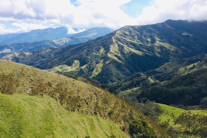 Carbonera & Tochecito Hike: Salento's Wax Palm Experience photo 2