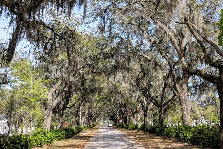 Custom Savannah Private Tour: 3-Hour Tailored Historic & Architecture Experience photo 2