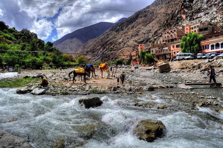 Ourika Valley & Atlas Mountains Day Trip from Marrakech