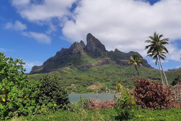 Private ATV Island Tour in Bora Bora: Quad to WWII Cannons & Scenic Lookouts photo 2