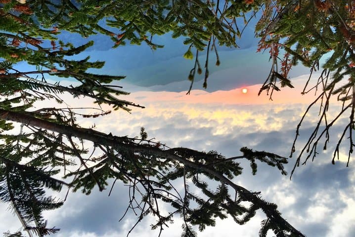 Smoky Mountains Fall Color Guided Hike from Gatlinburg photo 4