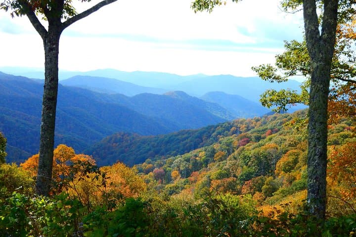 Smoky Mountains Fall Color Guided Hike from Gatlinburg photo 3