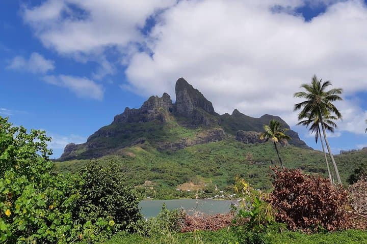 Bora Bora ATV Island Tour: Quad Ride to Mount Otemanu & Faanui Viewpoints photo 3