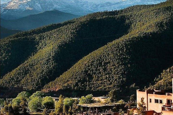Ourika Valley Private Day Trip from Marrakech: Atlas Mountains Waterfalls & Berber Culture photo 3