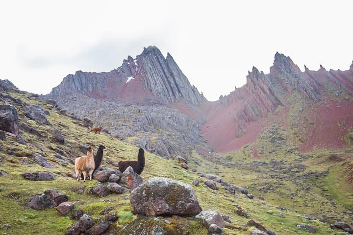 Vinicunca: Hiking Peru's Rainbow Mountain — Full-Day Guided Trek from Cusco photo 5