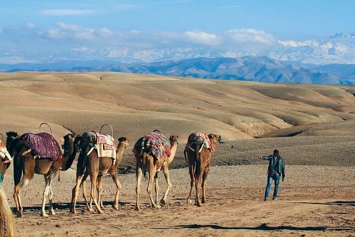 Agafay Desert, Atlas Mountains & Lalla Takerkoust: Day Trip with Camel Ride from Marrakech photo 1