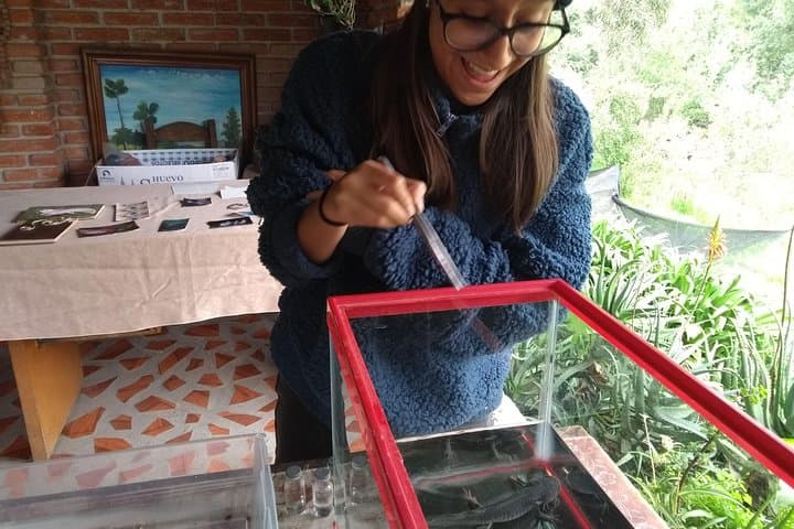 Axolotl Tour from CDMX — Meet Mexico City's Endangered Water Salamander photo 5