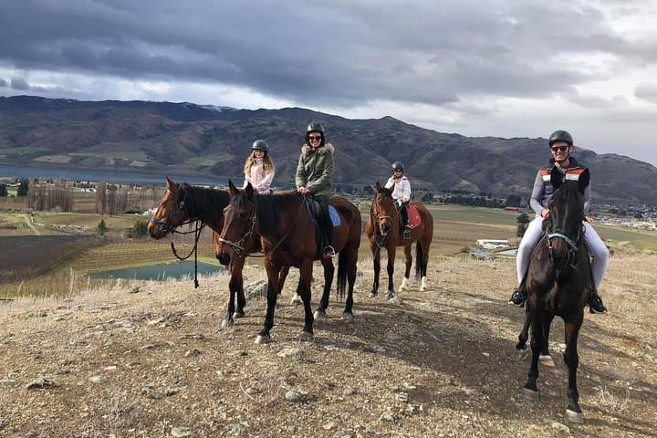 Golden Hills Horse Trek — Lake Dunstan Top Hill Ride in Central Otago