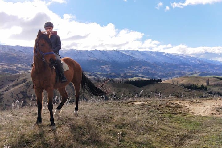 Golden Hills Horse Trek — Lake Dunstan Top Hill Ride in Central Otago photo 3