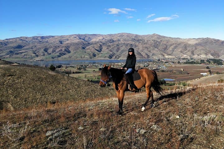 Golden Hills Horse Trek — Lake Dunstan Top Hill Ride in Central Otago photo 4