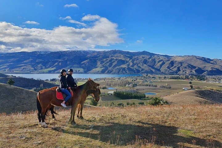 Golden Hills Horse Trek — Lake Dunstan Top Hill Ride in Central Otago photo 6