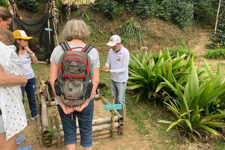 Medellín Coffee Farm Tour: Hands-On Coffee Picking, Processing & Tasting photo 2