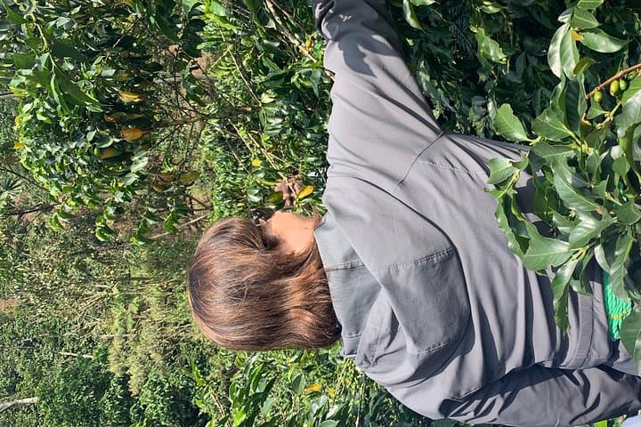 Medellín Coffee Farm Tour: Hands-On Coffee Picking, Processing & Tasting photo 4