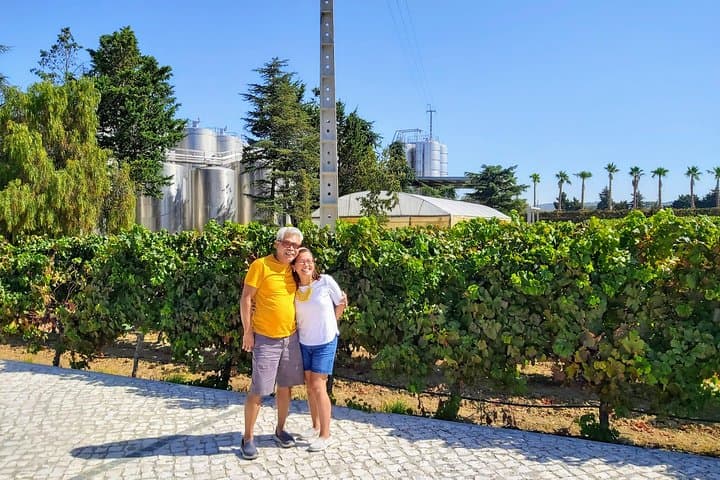 Private Luxury Wine Tours from Lisbon — Arrábida, Setúbal & Évora photo 2