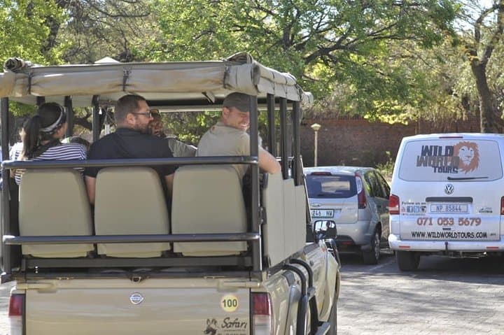 Big 5 Safari Experience at Pilanesberg National Park — Day Game Drive Guide photo 4
