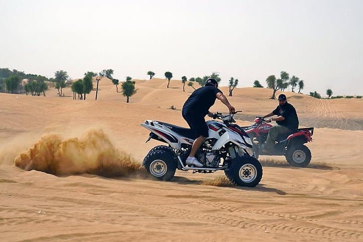 Lahbab Desert 4x4 Safari & Sunset BBQ Dinner in Dubai photo 5