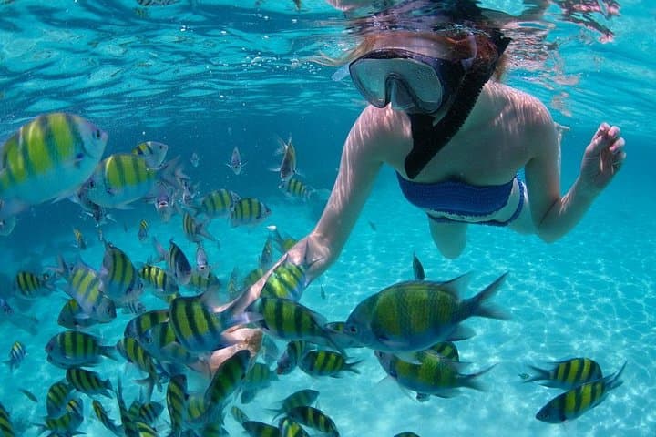Cabo San Lucas Snorkel at Land's End: Short Guided Tour with Divemaster photo 3