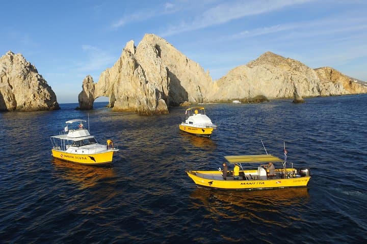 Cabo San Lucas Snorkel at Land's End: Short Guided Tour with Divemaster photo 5