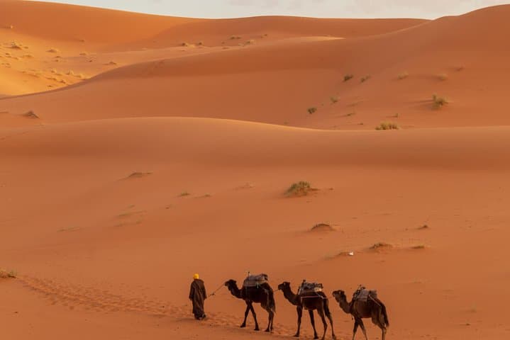 Erfoud to Merzouga Desert Sunset Camel Ride with Berber Dinner & Music photo 2