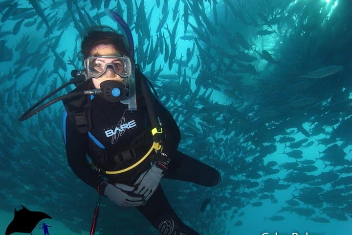 Beginner Scuba Diving in Cabo San Lucas — PADI Shallow Dives in the Marine Park photo 2