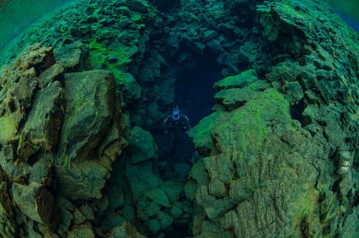 Freedive Silfra: Half-Day Freediving Between Continents in Þingvellir photo 3