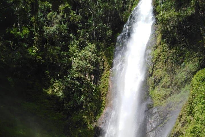 Canyoning the Suriray Falls and Organic Coffee Tour — Half-Day Adventure from Santa Teresa