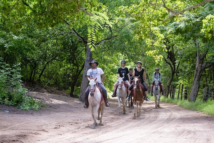 Brasilito Horseback Riding: Beachfront Trails & Wildlife in Guanacaste photo 1