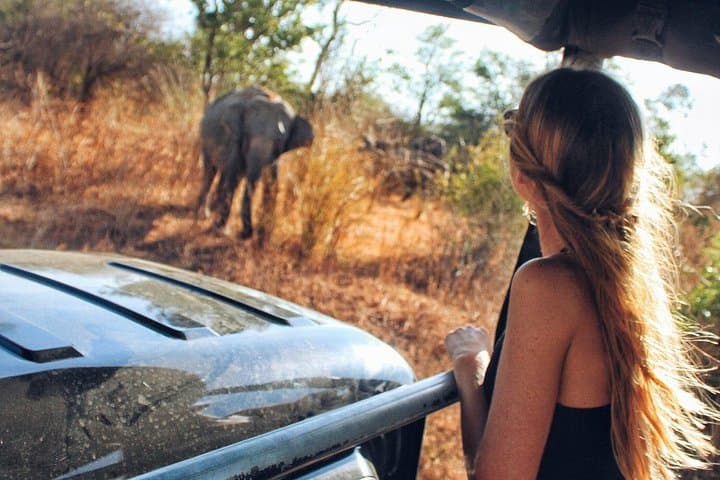 Udawalawe Day Safari from Galle: Wild Elephants, Dam Views & Jeep Trails photo 1