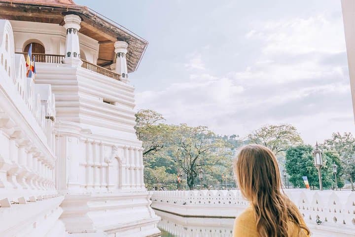 Kandy Day Trip from Colombo Harbor — Temple, Tea, Spices & Gems