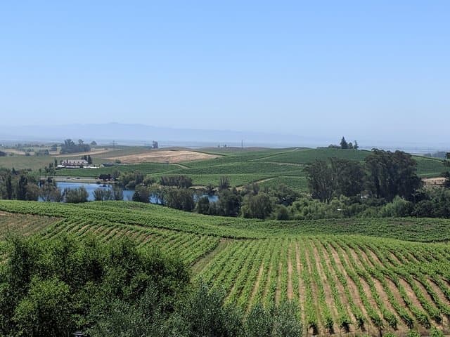 Napa and Sonoma Valley 6‑Hour Private Wine Tour from San Francisco