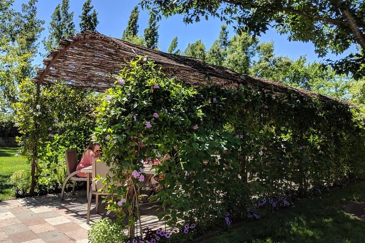 Napa and Sonoma Valley 6‑Hour Private Wine Tour from San Francisco photo 3