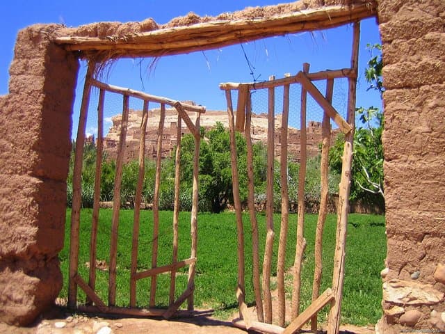 Two-Day Zagora Desert Escape from Marrakech — Ait Ben Haddou, Ouarzazate & Camel Night photo 5
