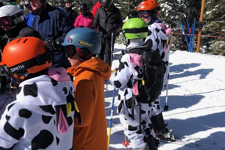 Private Winter Transfer to Colorado Ski Areas — Skiing, Snowmobiling & Dog Sled Tours photo 3